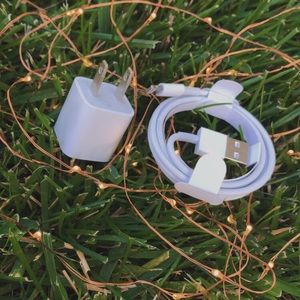 apple charging port (20$) and wire (20$)